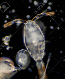 0501imj4-8ca4-209x254.png