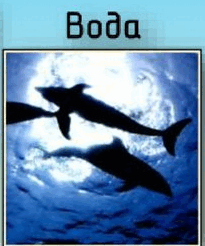 0501irbt-2cd6-205x246.png