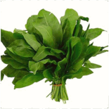 https://fs04.vseosvita.ua/04014a6l-8deb-155x155.png
