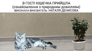 Заняття : ,,В гості кішечка прийшла.''(Ознайомлення з природним довкіллям).