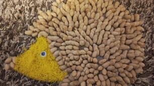 Аплікація з природніх матеріалів "Їжачок"