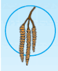 0501j64v-d992-84x103.png