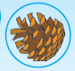 0501j662-e2c9-84x80.png