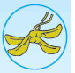 0501j66t-ce73-85x82.png
