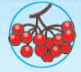 0501j6ah-7d7a-90x80.png