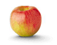Varieties Archive - New York Apple Association