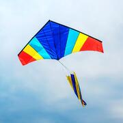 Повітряний змій Xiaomi NieQu Kite (NQFZ01) [58287] (ID#1447369306), цена: 1479 ₴, купить на Prom.ua