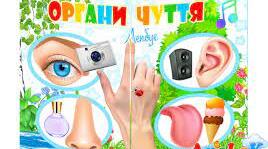 Урок  з біології "Органи чуття"