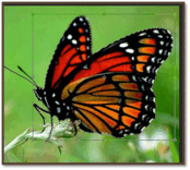 0501j8vq-c03c-174x156.png