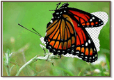 0501j8yy-eea5-191x135.png