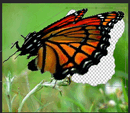 0501j908-26a8-160x139.png