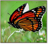 0501j91n-6ed1-167x155.png