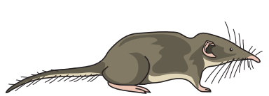 0501j9b2-b9d4-384x138.png
