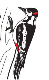 0501j9bb-06b2-169x273.png