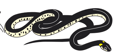 0501j9bm-dda2-426x187.png