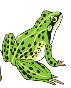 0501j9by-b317-242x300.png