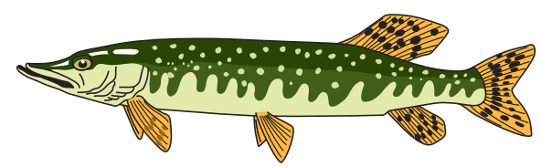 0501j9c9-fff8-593x183.png