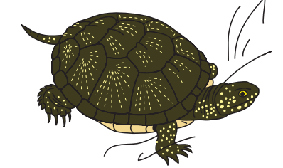 0501j9ci-4e60-398x236.png