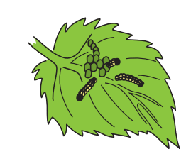 0501jc76-a93b-262x217.png