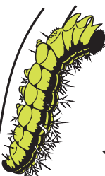 0501jcbe-d0d0-149x249.png