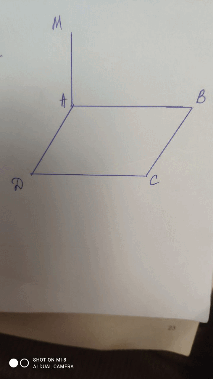 0501jduw-51b4-720x1280.png