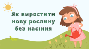 Як виростити нову рослину без насіння