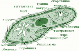 0501jhxm-5f92-272x176.png