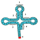 0501ji2q-ec59-136x138.png