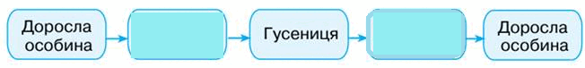 0501jik6-526b-652x76.png