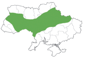 0501jjau-3f1d-298x195.png