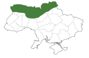 0501jjb6-666e-312x203.png