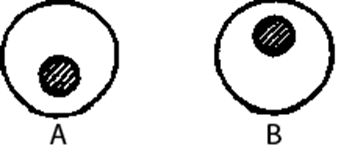 0501jmcv-fcd6-341x149.png