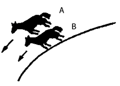 0501jn57-d2b4-419x299.png