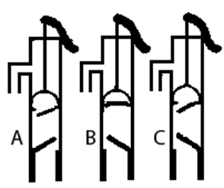 0501jnpq-ccc6-316x265.png