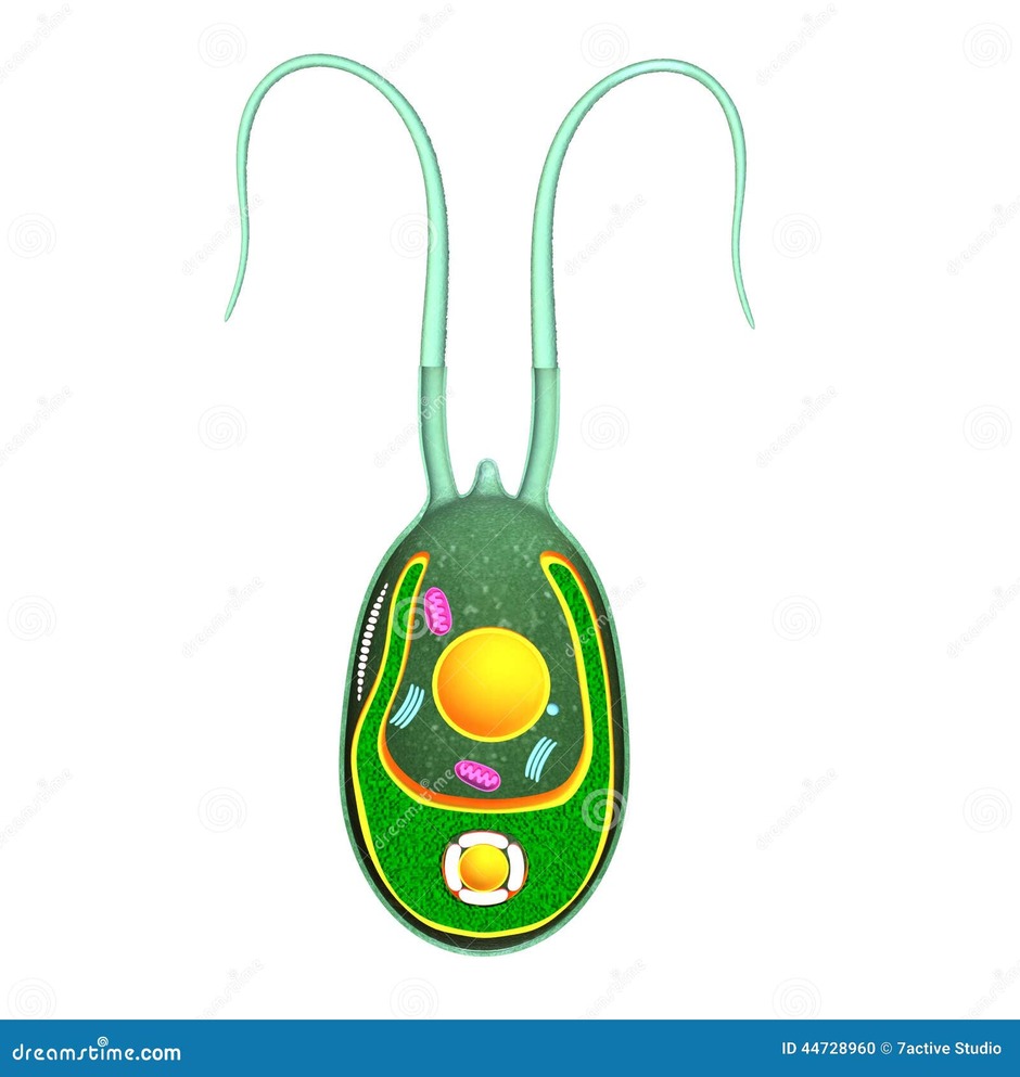 0501jplh-430c-940x993.jpg