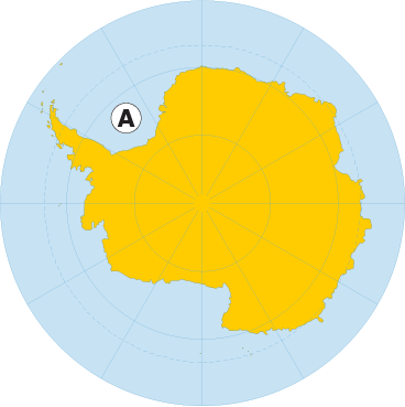 море Ведделла