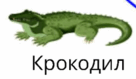 0501jq5r-c19e-136x79.png