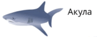 0501jq6s-ea55-191x73.png