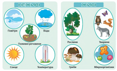 0501jqfw-62e9-381x232.png