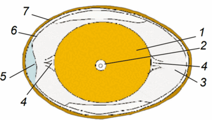0501jrzf-29ce-527x299.png