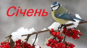 Ідивідуальний план музичного керівника на СІЧЕНЬ 2024