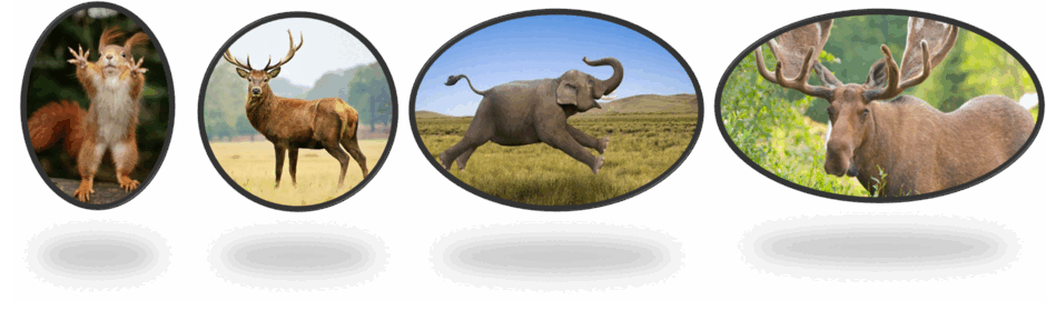 0501jsz1-d31f-940x279.png