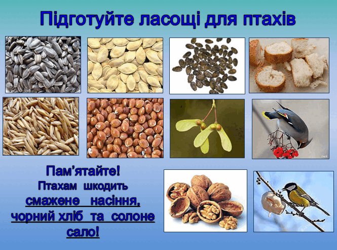 0501juq5-8b0f-665x493.png