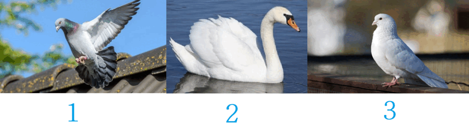 0501juu2-143e-940x261.png