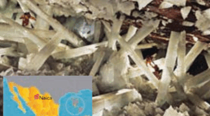 Presentation: natural wonder