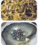 0501lhzu-d60c-78x91.png