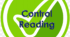 Control Reading 6 Form I semester (NUS)