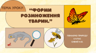 Презентація до уроку : " ФОРМИ РОЗМНОЖЕННЯ ТВАРИН"
