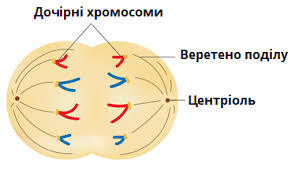 0501odp0-291f-295x171.jpg
