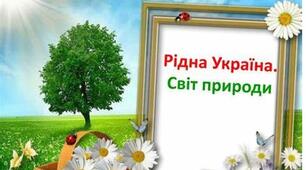 ЛІТЕРАТУРНІ ДИКТАНТИ З РОЗДІЛУ :  «РІДНА УКРАЇНА СВІТ ПРИРОДИ»